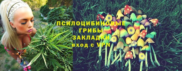 ALPHA-PVP Алексин