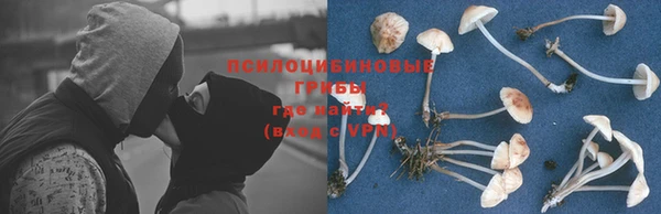 дживик Алексеевка