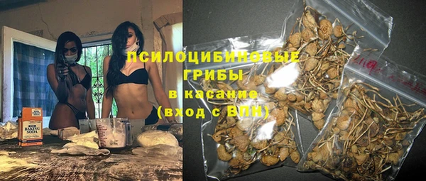 дживик Алексеевка