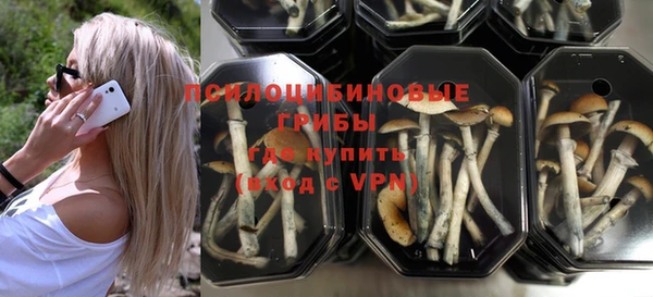 ALPHA-PVP Алексин