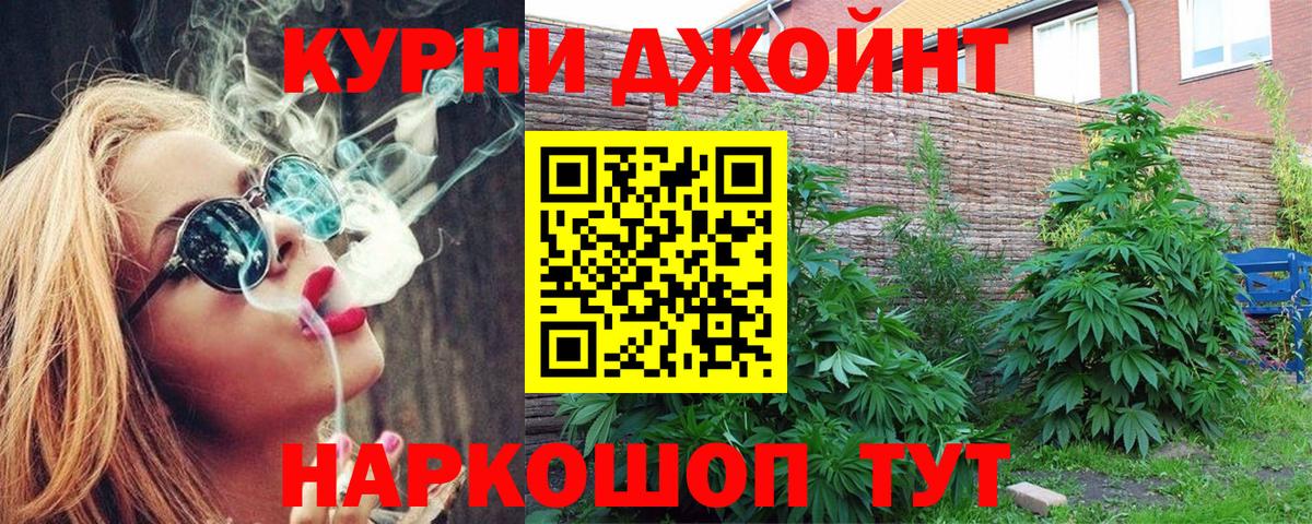 Каннабис OG Kush Брянск
